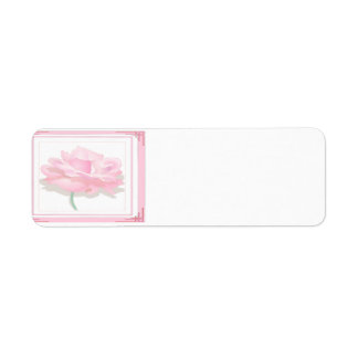 Étiquette Rose rose rose