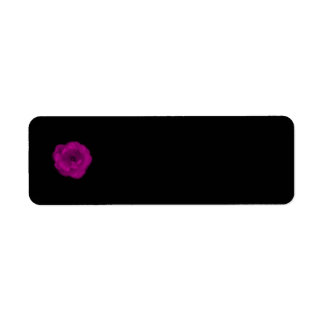 Étiquette Rose rose vif. Arrière - plan noir.
