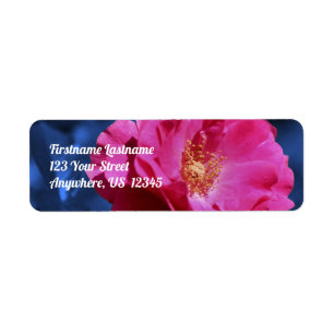Étiquette Rose rouge sur Blue Tint Flower Adresse