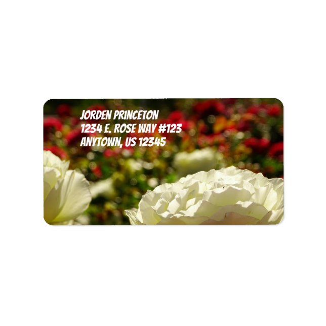 Étiquette Roses Dans Un Jardin / Blanc Et Rouge / (Devant)