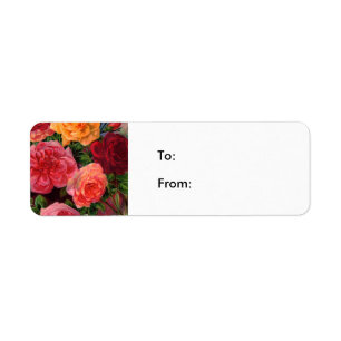 Étiquette Roses vibrants