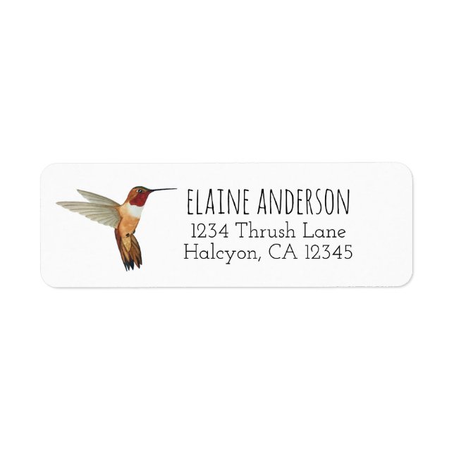 Étiquette Rufous Hummingbird return address Label (Devant)