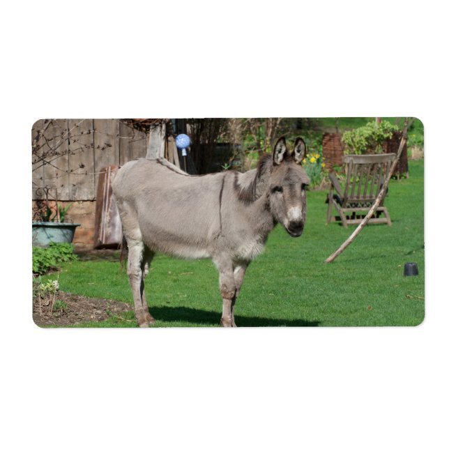 Étiquette Rural Still Life With Donkey (Devant)