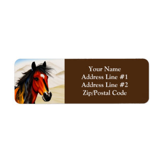 Étiquette Sauvage Au Coeur - Un Pony Spiritué De Pinto Occid