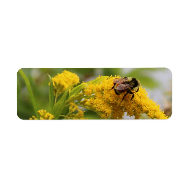 Étiquette Sauvez les abeilles (Devant)