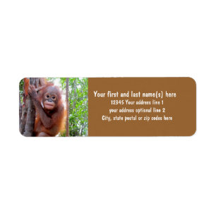 Étiquette Sauvez les orangs-outans avec le bébé Uttuh