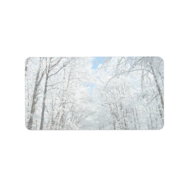 Étiquette Scène de la route hivernale neige (Devant)