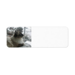 Étiquette Scène de l'Himalaya de Noël de neige de Kitty de