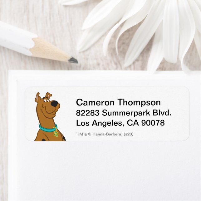 Étiquette Scooby-Doo Cuter Plus que mignonne (En situation)
