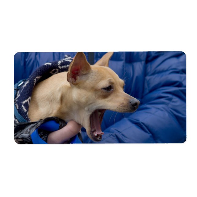 Étiquette Screaming Chihuahua (Devant)