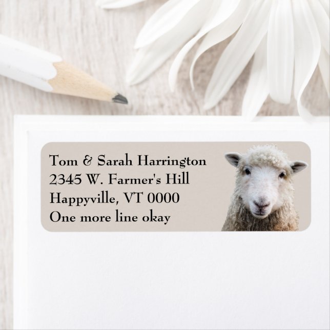 Étiquette Sheep Lamb Farm Animals (En situation)