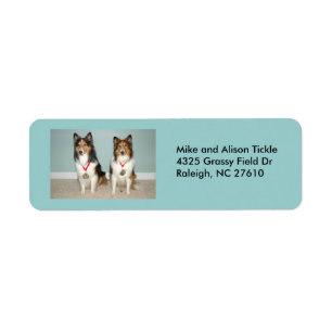 Étiquette Sheltie Champs !