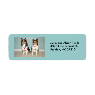 Étiquette Sheltie Champs !