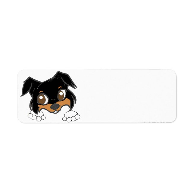 Étiquette Shetland Sheepdog Black Tri Peeking Carton (Devant)