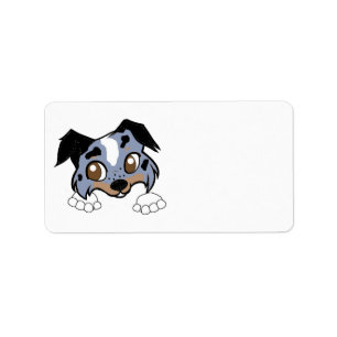 Étiquette Shetland Sheepdog Blue Merle Tri Peeking Dessin An