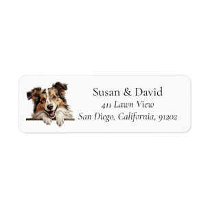 Étiquette Shetland Sheepdog Chien de race Amateurs d'animaux
