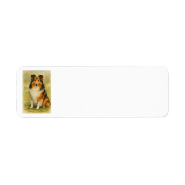 Étiquette Shetland Sheepdog Sitting Watercolor  (Devant)