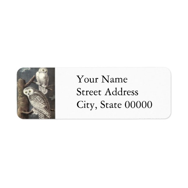 Étiquette Snowy Owl, John Audubon (Devant)