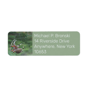 Étiquette Spider web return address label