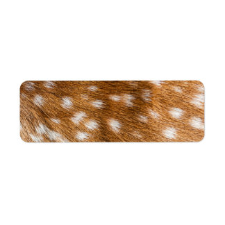Étiquette Spotted deer pour texture