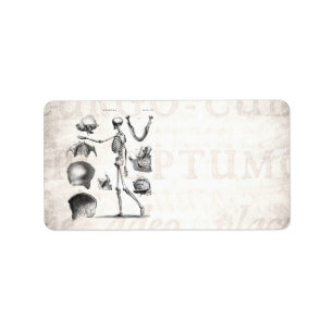 Étiquette Squelettes antiques squelettiques d'anatomie de