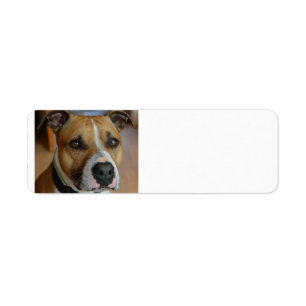Étiquette staffy.png
