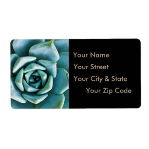 Étiquette Succulent Closeup