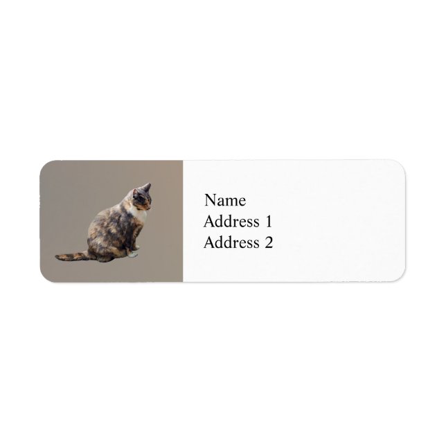 Étiquette Tabby Chat dans les nuances de Brown (Devant)