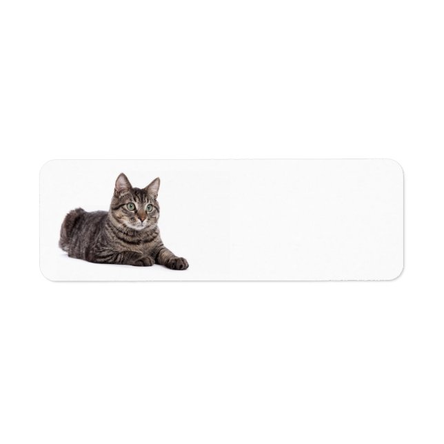 Étiquette Tabby Gris (Devant)