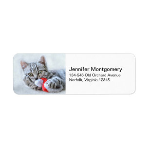 Étiquette Tabby gris mou Chat avec Noël Casquette