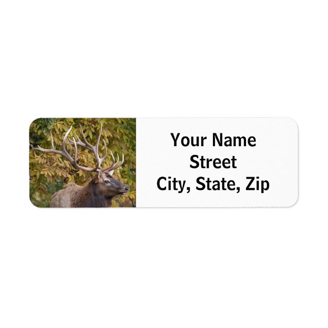 Étiquette Taureau pendant l'étiquette d'adresse de retour de (Devant)