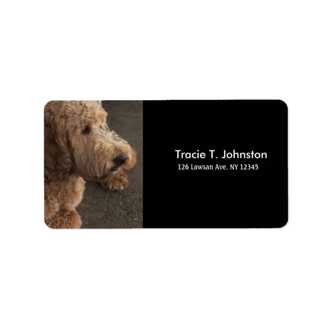 Étiquette Terrier Airedale Nouvelle Adresse (Devant)