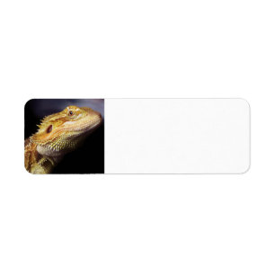 Étiquette Tête barbue 2 de dragon