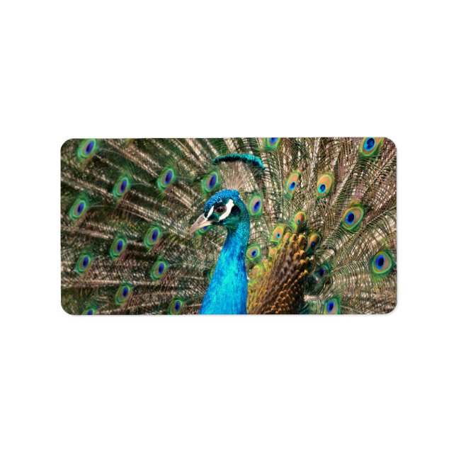 Étiquette The blue peacock (Devant)