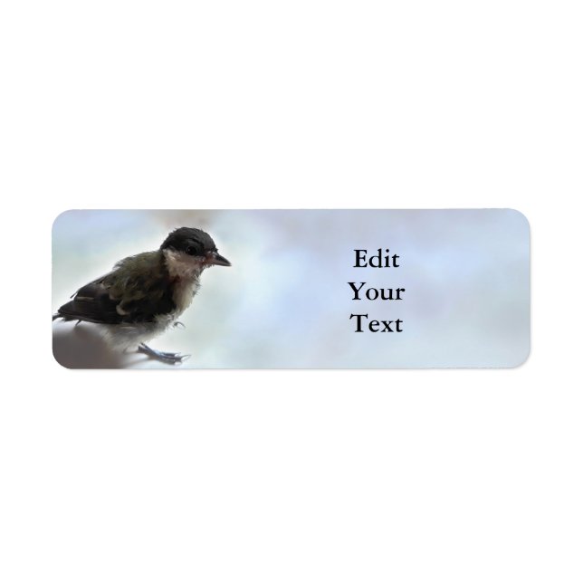 Étiquette Tidi my Bird le Parus Major (Devant)