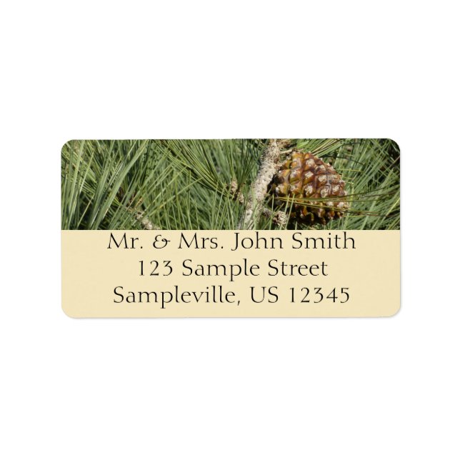 Étiquette Torrey Pine Closeup California Botanical (Devant)