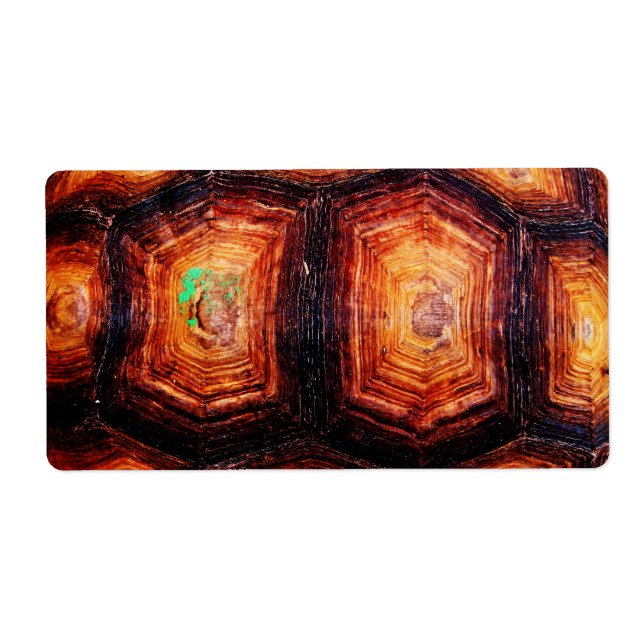 Étiquette Tortois (Devant)