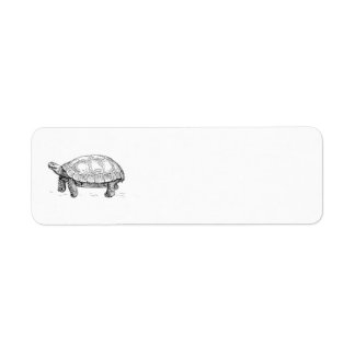 Étiquette Tortue