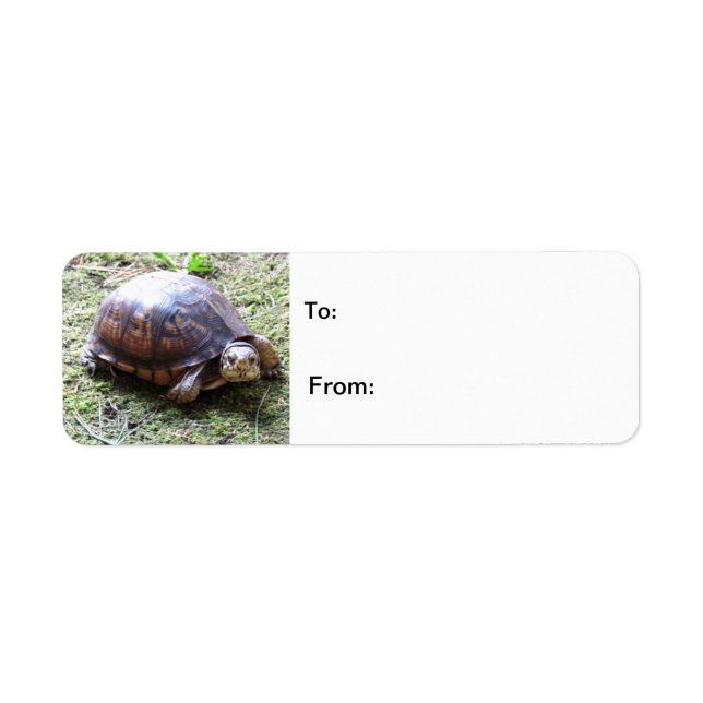 Étiquette Tortue - Chemin Mossy (Devant)