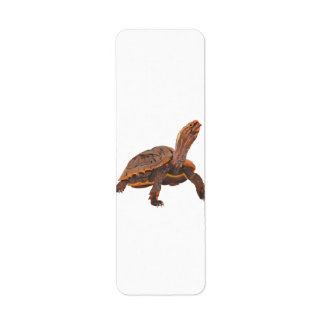 Étiquette Tortue Copie Copie Copie Copie Copie Copie Copie