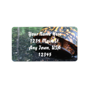 Étiquette Tortue de boîte