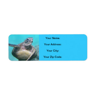 Étiquette Tortues d'Hawaï - Honu