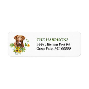 Étiquette Tournesol Chesapeake Bay Retriever Chien Retour