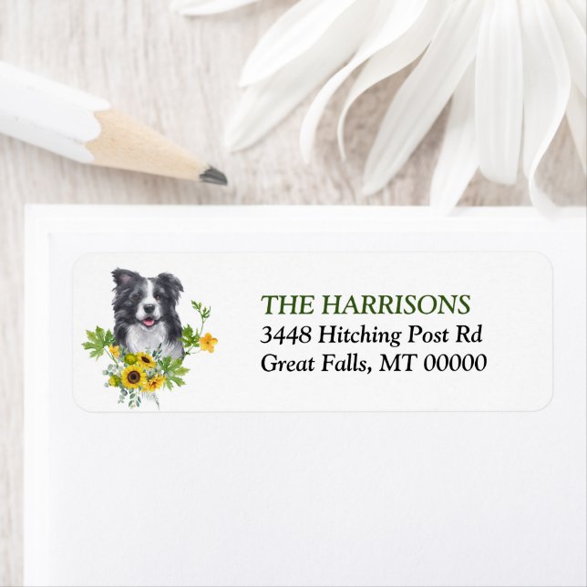 Étiquette Tournesol Eucalyptus Bordure Collie Chien Étiquett (En situation)