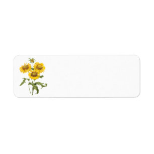 Étiquette Tournesol floral vintage de Redoute