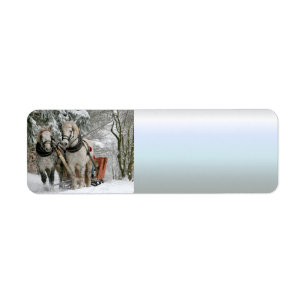 Étiquette traîneau+randonnée,neige,forêt,cheval,hiver,blanc,