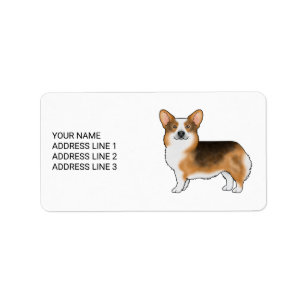 Étiquette Tricolore à tête rousse Pembroke Welsh Corgi et te