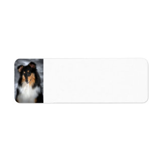 Étiquette Tricolore Collie