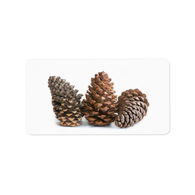 Étiquette Trois pinecones (Devant)