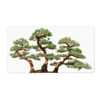 Étiquette trois pins bonsaïs